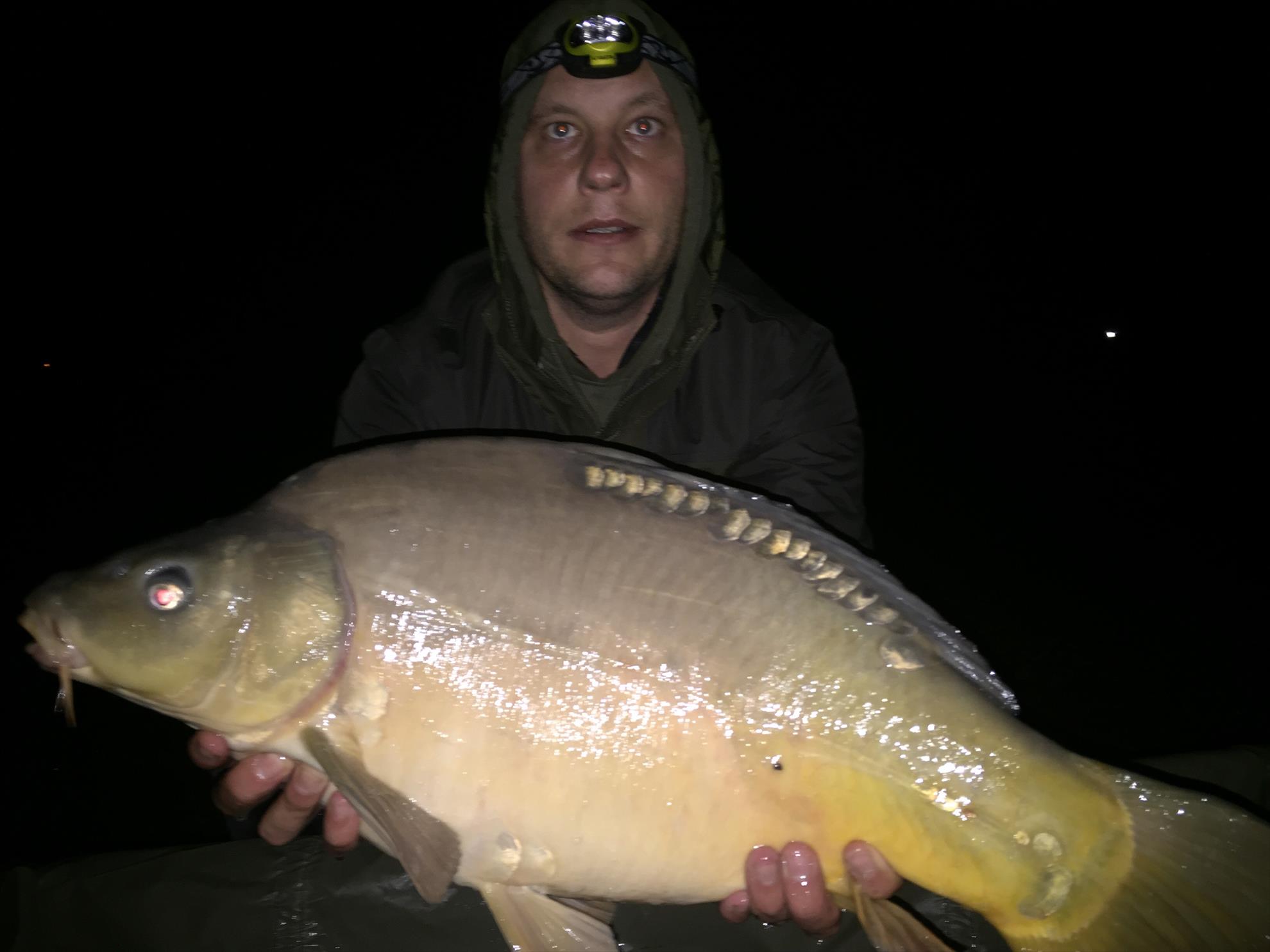 2015 - image1111.jpg